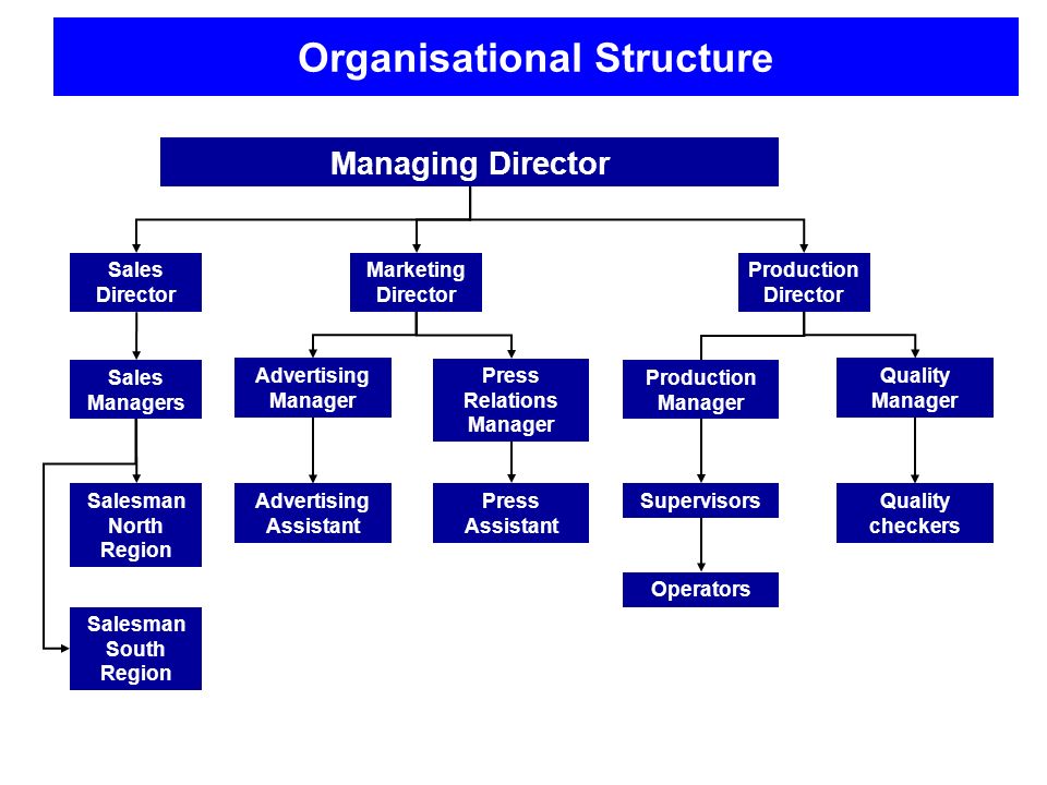 Managing Director Organizational Chart