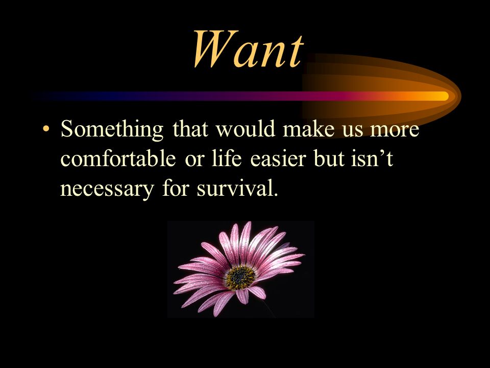 Want Something that would make us more comfortable or life easier but isn’t necessary for survival.