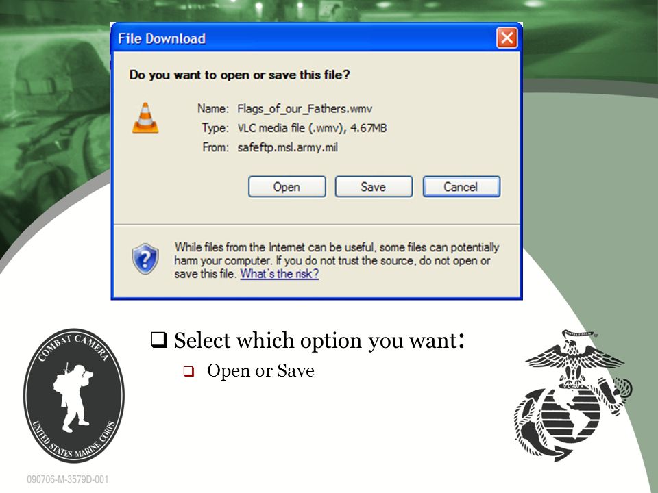  Select which option you want :  Open or Save