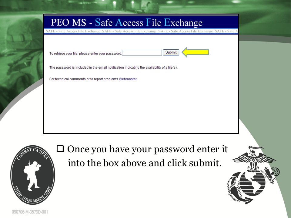  Once you have your password enter it into the box above and click submit.