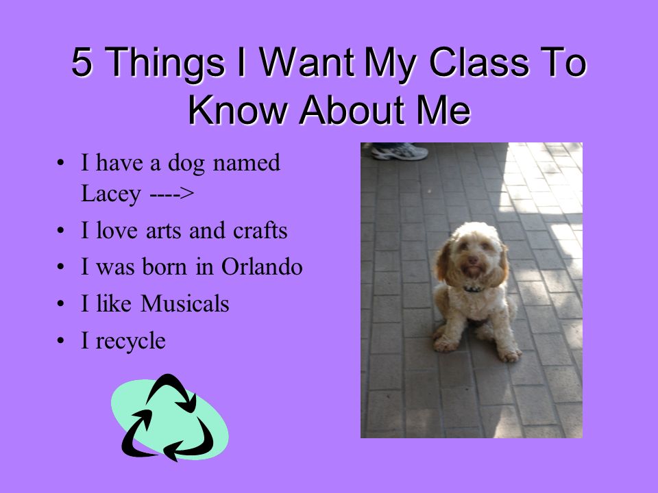 5 Things I Want My Class To Know About Me I have a dog named Lacey ----> I love arts and crafts I was born in Orlando I like Musicals I recycle