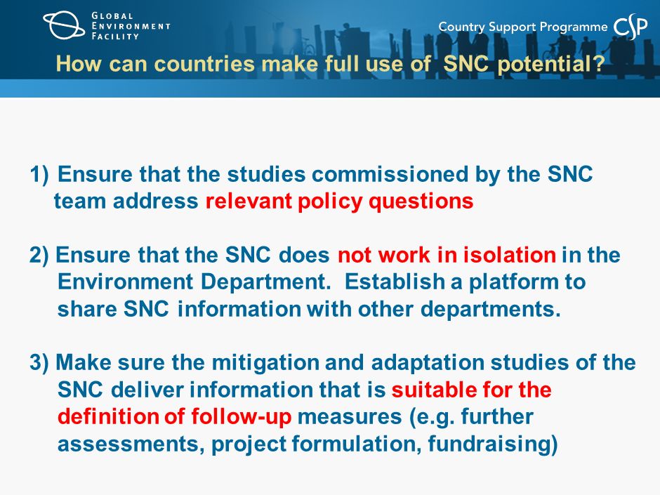 1)Ensure that the studies commissioned by the SNC team address relevant policy questions 2) Ensure that the SNC does not work in isolation in the Environment Department.