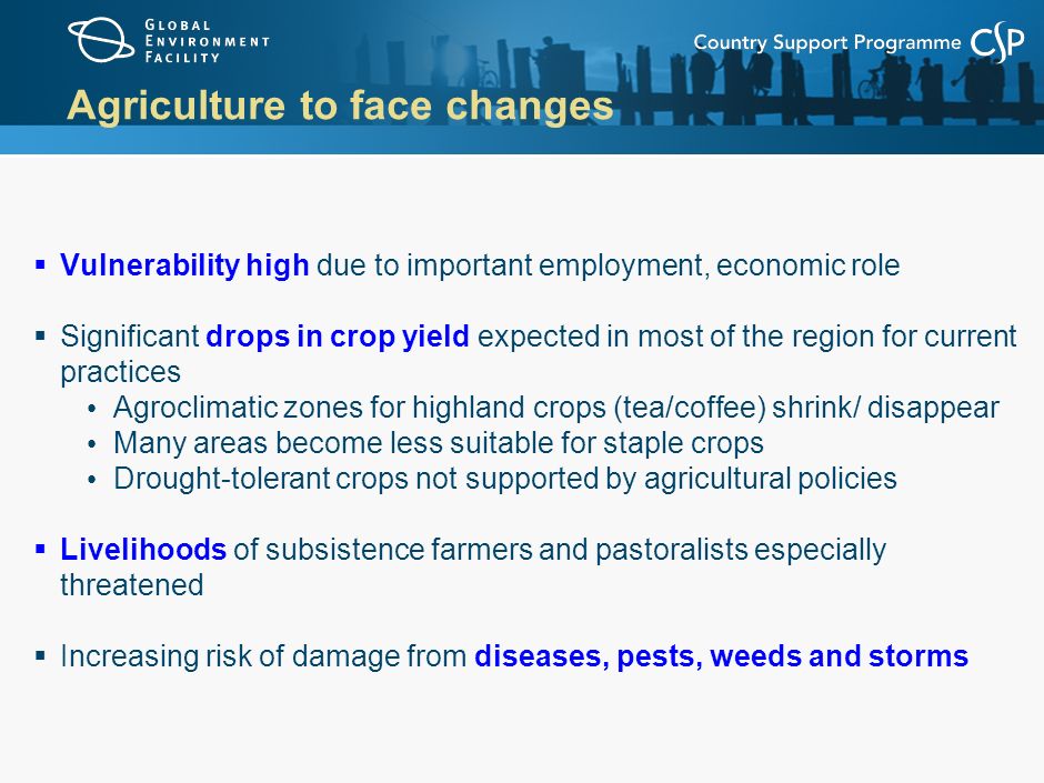 Agriculture to face changes  Vulnerability high due to important employment, economic role  Significant drops in crop yield expected in most of the region for current practices Agroclimatic zones for highland crops (tea/coffee) shrink/ disappear Many areas become less suitable for staple crops Drought-tolerant crops not supported by agricultural policies  Livelihoods of subsistence farmers and pastoralists especially threatened  Increasing risk of damage from diseases, pests, weeds and storms