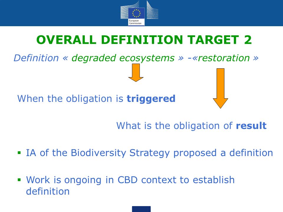 OVERALL DEFINITION TARGET 2 Definition « degraded ecosystems » -«restoration » When the obligation is triggered What is the obligation of result  IA of the Biodiversity Strategy proposed a definition  Work is ongoing in CBD context to establish definition