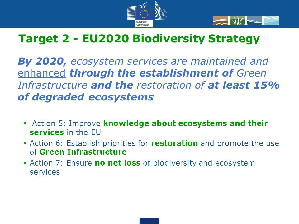 2 Target 2 - EU2020 Biodiversity Strategy By 2020, ecosystem services are maintained and enhanced through the establishment of Green Infrastructure and the restoration of at least 15% of degraded ecosystems  Action 5: Improve knowledge about ecosystems and their services in the EU  Action 6: Establish priorities for restoration and promote the use of Green Infrastructure  Action 7: Ensure no net loss of biodiversity and ecosystem services
