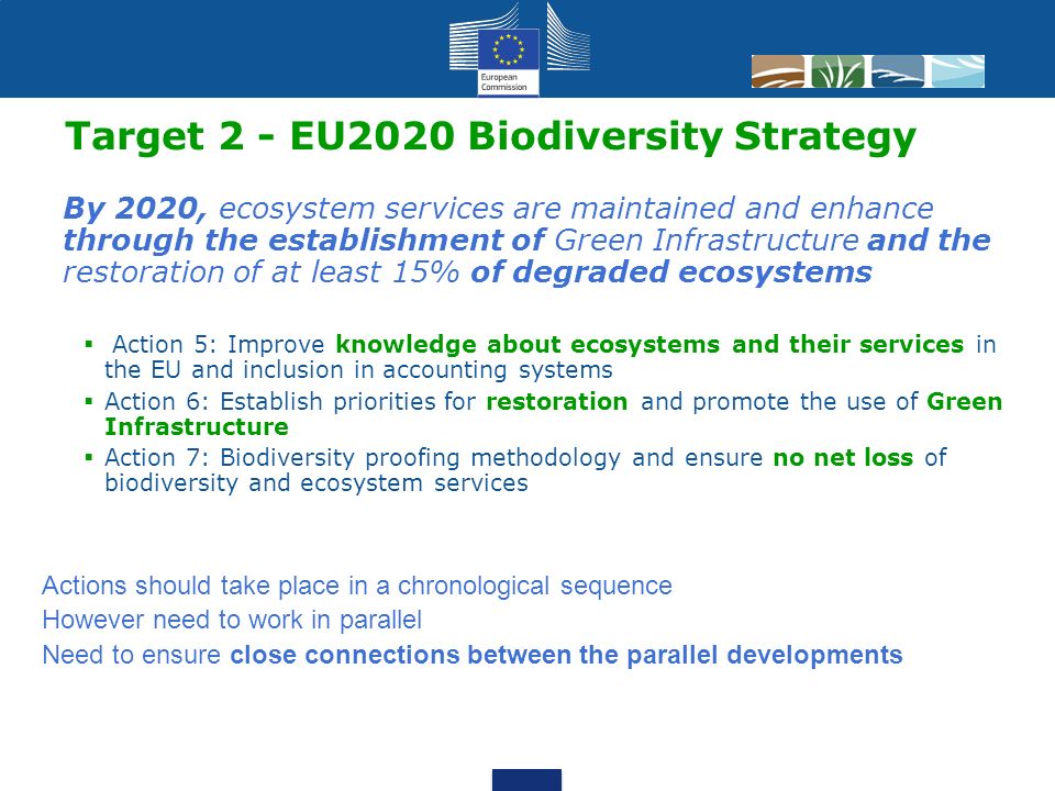 6 Target 2 - EU2020 Biodiversity Strategy By 2020, ecosystem services are maintained and enhance through the establishment of Green Infrastructure and the restoration of at least 15% of degraded ecosystems  Action 5: Improve knowledge about ecosystems and their services in the EU and inclusion in accounting systems  Action 6: Establish priorities for restoration and promote the use of Green Infrastructure  Action 7: Biodiversity proofing methodology and ensure no net loss of biodiversity and ecosystem services Actions should take place in a chronological sequence However need to work in parallel Need to ensure close connections between the parallel developments