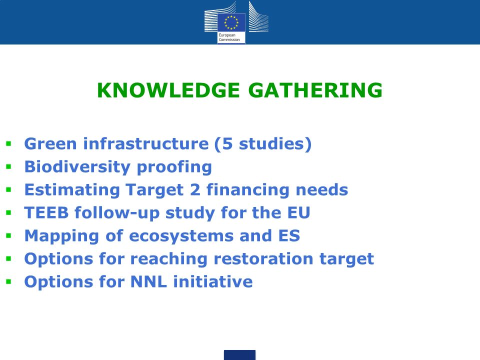 KNOWLEDGE GATHERING  Green infrastructure (5 studies)  Biodiversity proofing  Estimating Target 2 financing needs  TEEB follow-up study for the EU  Mapping of ecosystems and ES  Options for reaching restoration target  Options for NNL initiative