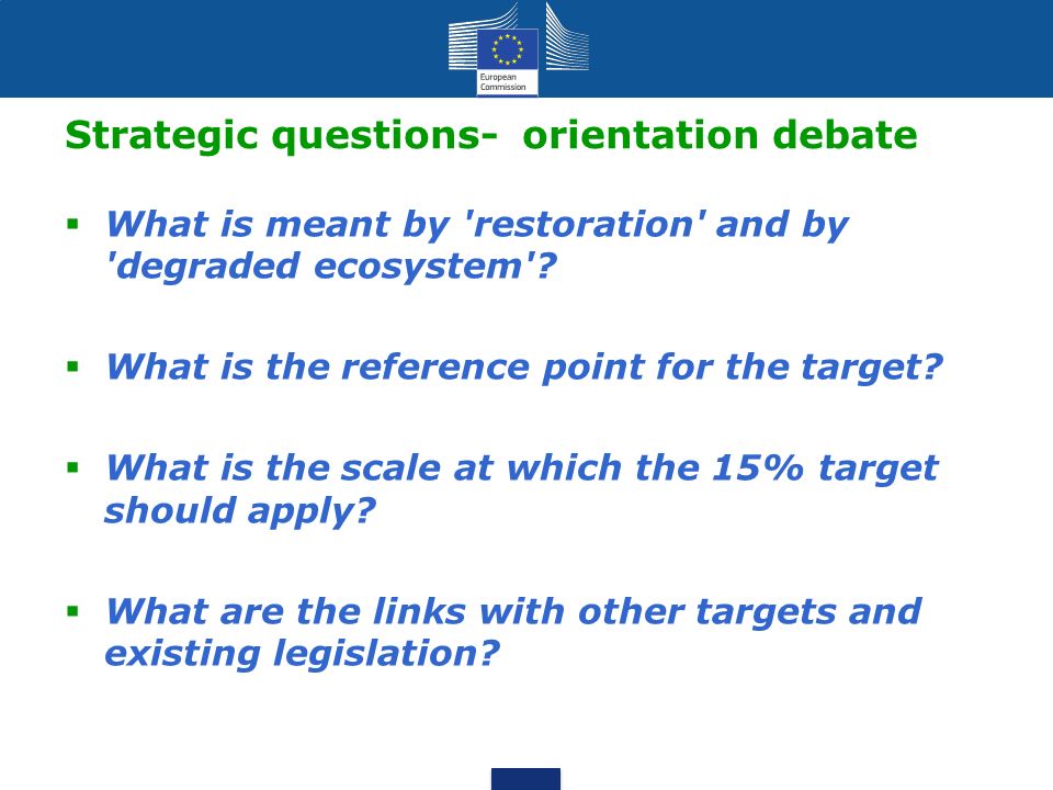Strategic questions- orientation debate  What is meant by restoration and by degraded ecosystem .