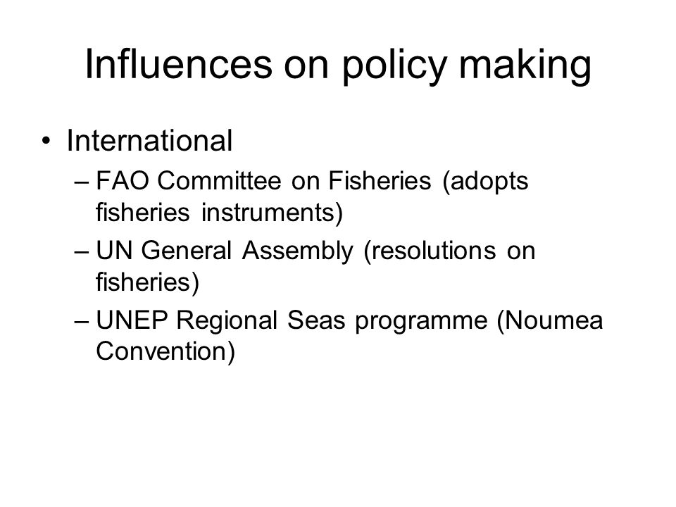 Influences on policy making International –FAO Committee on Fisheries (adopts fisheries instruments) –UN General Assembly (resolutions on fisheries) –UNEP Regional Seas programme (Noumea Convention)