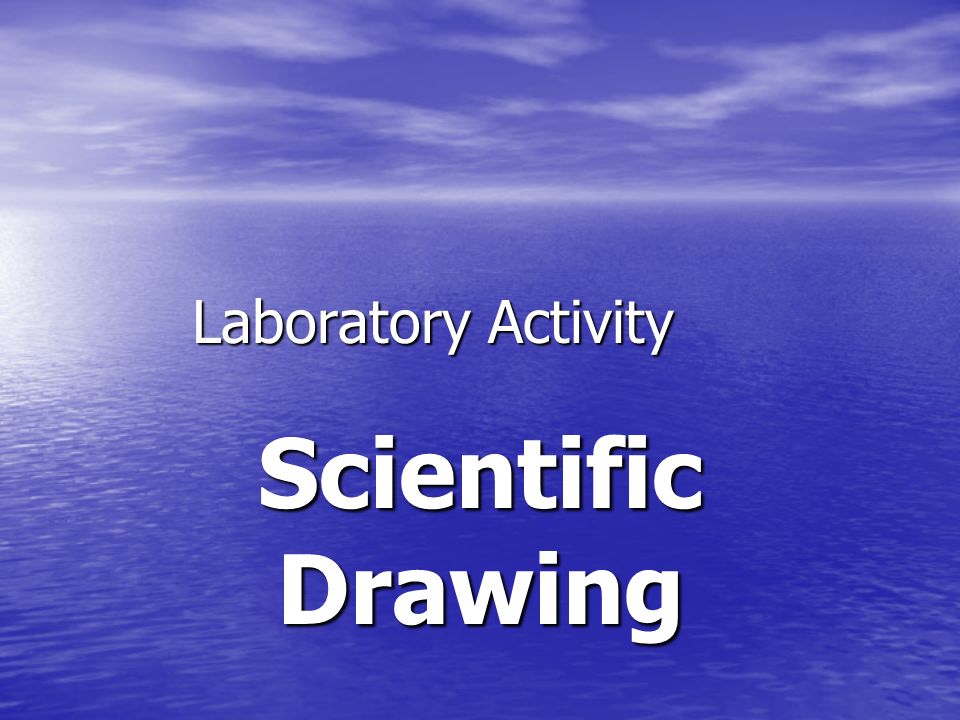 Laboratory Activity Scientific Drawing