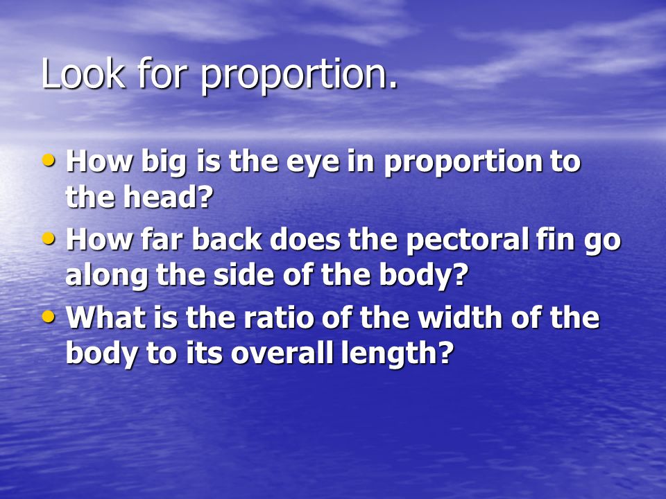 Look for proportion. How big is the eye in proportion to the head.