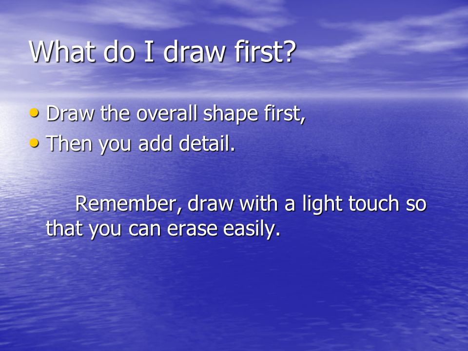 What do I draw first.