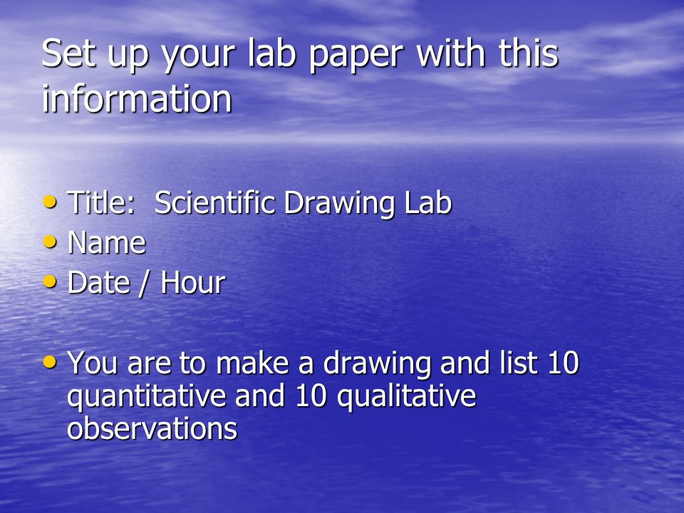 Set up your lab paper with this information Title: Scientific Drawing Lab Title: Scientific Drawing Lab Name Name Date / Hour Date / Hour You are to make a drawing and list 10 quantitative and 10 qualitative observations You are to make a drawing and list 10 quantitative and 10 qualitative observations