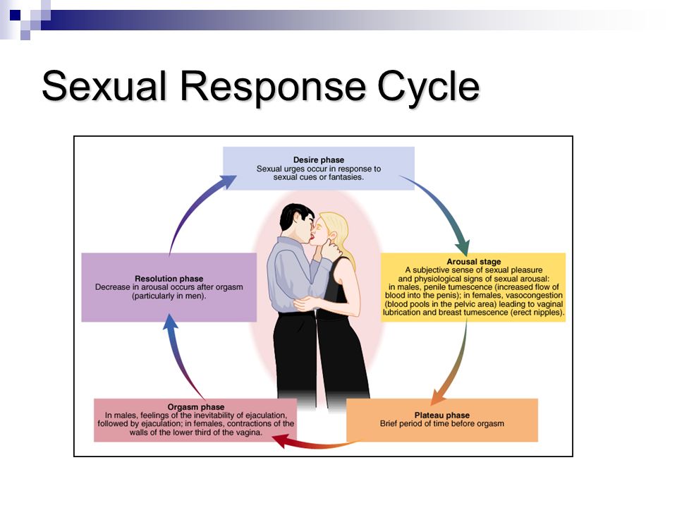 Pdf Determinants Of Female Sexual Arousal