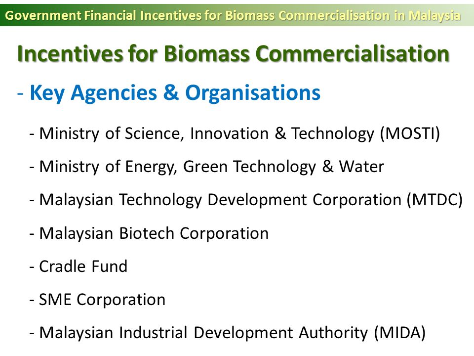 Government Financial Incentives for Biomass Commercialisation in 