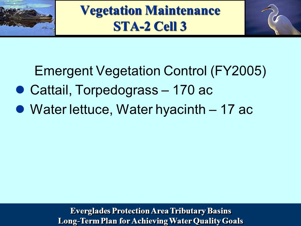 Everglades Protection Area Tributary Basins Long-Term Plan for Achieving Water Quality Goals Everglades Protection Area Tributary Basins Long-Term Plan for Achieving Water Quality Goals Vegetation Maintenance STA-2 Cell 3 Emergent Vegetation Control (FY2005) Cattail, Torpedograss – 170 ac Water lettuce, Water hyacinth – 17 ac