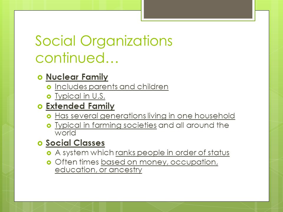 Social Organizations continued…  Nuclear Family  Includes parents and children  Typical in U.S.