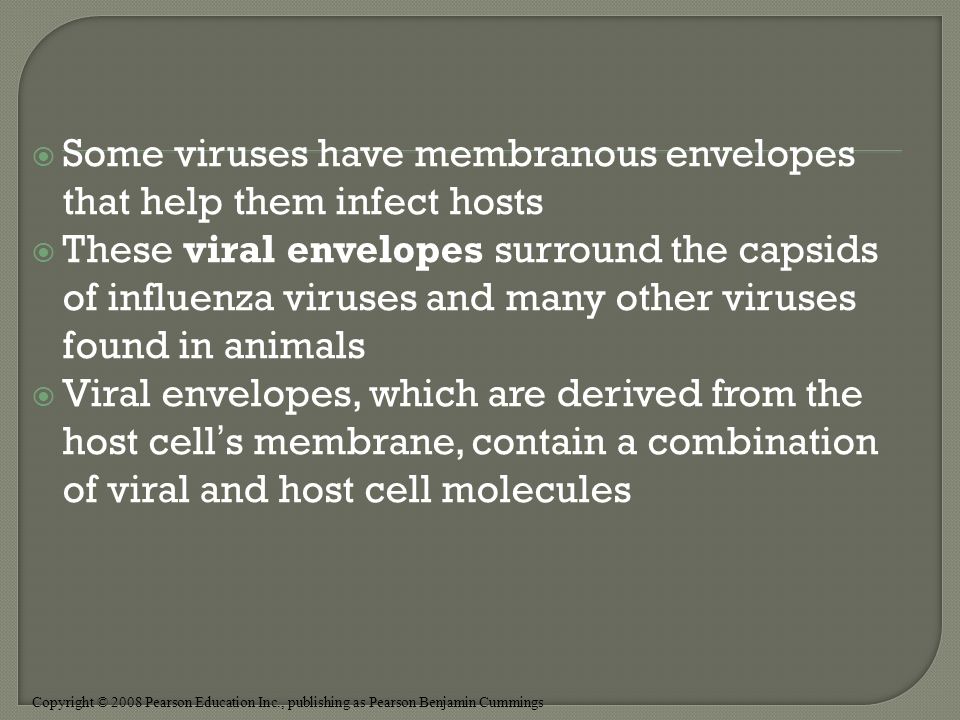 Copyright © 2008 Pearson Education Inc., publishing as Pearson Benjamin Cummings  Some viruses have membranous envelopes that help them infect hosts  These viral envelopes surround the capsids of influenza viruses and many other viruses found in animals  Viral envelopes, which are derived from the host cell’s membrane, contain a combination of viral and host cell molecules