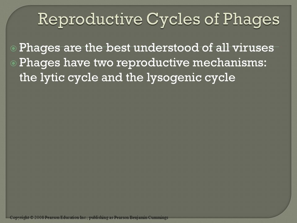 Copyright © 2008 Pearson Education Inc., publishing as Pearson Benjamin Cummings  Phages are the best understood of all viruses  Phages have two reproductive mechanisms: the lytic cycle and the lysogenic cycle