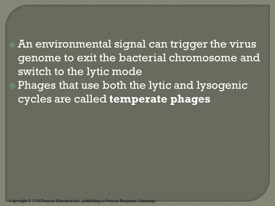 Copyright © 2008 Pearson Education Inc., publishing as Pearson Benjamin Cummings  An environmental signal can trigger the virus genome to exit the bacterial chromosome and switch to the lytic mode  Phages that use both the lytic and lysogenic cycles are called temperate phages