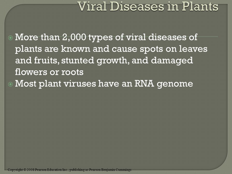 Copyright © 2008 Pearson Education Inc., publishing as Pearson Benjamin Cummings  More than 2,000 types of viral diseases of plants are known and cause spots on leaves and fruits, stunted growth, and damaged flowers or roots  Most plant viruses have an RNA genome