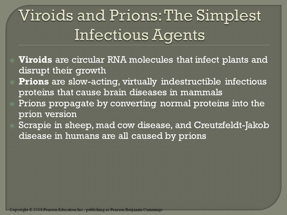 Copyright © 2008 Pearson Education Inc., publishing as Pearson Benjamin Cummings  Viroids are circular RNA molecules that infect plants and disrupt their growth  Prions are slow-acting, virtually indestructible infectious proteins that cause brain diseases in mammals  Prions propagate by converting normal proteins into the prion version  Scrapie in sheep, mad cow disease, and Creutzfeldt-Jakob disease in humans are all caused by prions