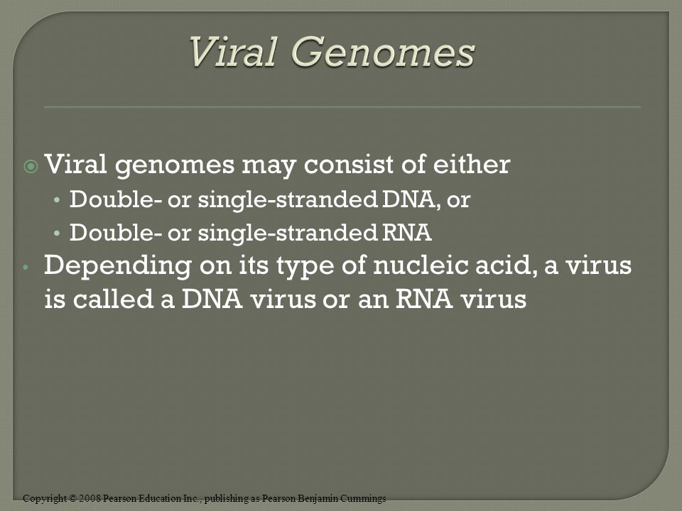 Copyright © 2008 Pearson Education Inc., publishing as Pearson Benjamin Cummings  Viral genomes may consist of either Double- or single-stranded DNA, or Double- or single-stranded RNA Depending on its type of nucleic acid, a virus is called a DNA virus or an RNA virus
