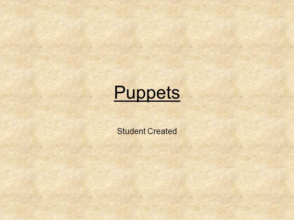 Puppets Student Created