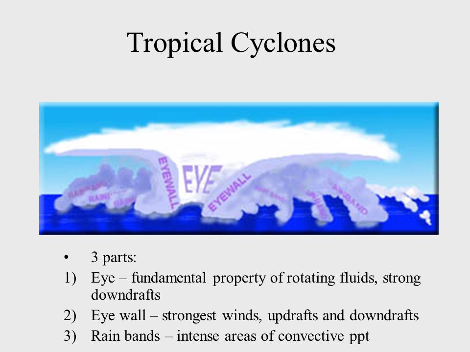 Tropical Cyclones 3 parts: 1)Eye – fundamental property of rotating fluids, strong downdrafts 2)Eye wall – strongest winds, updrafts and downdrafts 3)Rain bands – intense areas of convective ppt