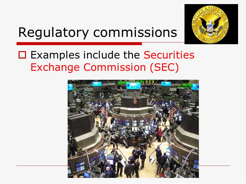 Regulatory commissions  Examples include the Securities Exchange Commission (SEC)