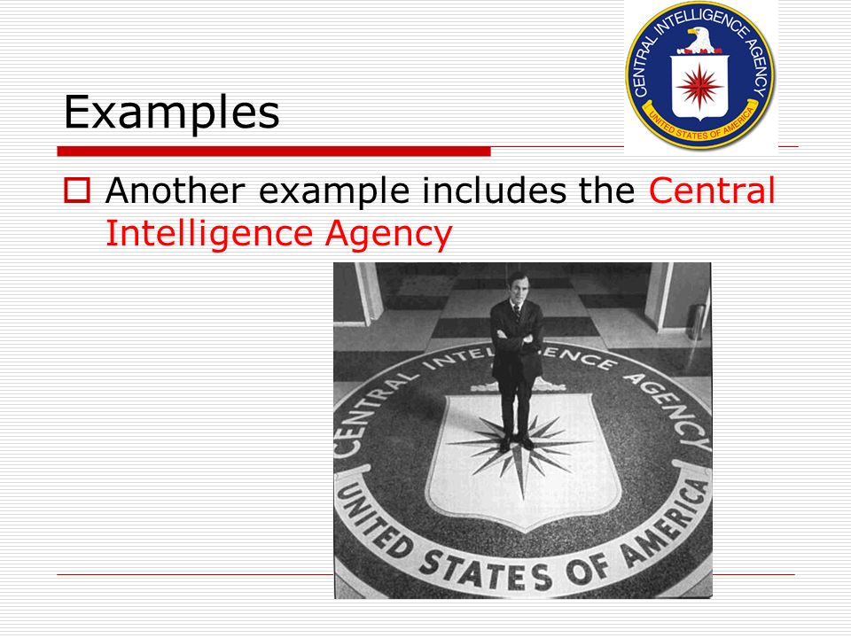 Examples  Another example includes the Central Intelligence Agency