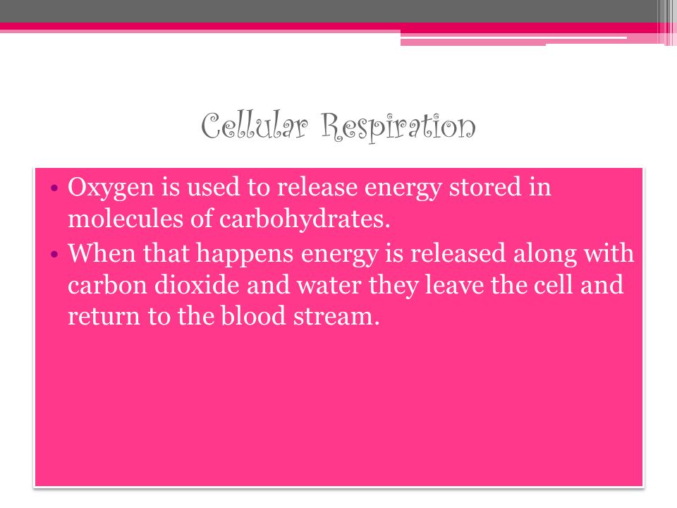 Cellular Respiration Oxygen is used to release energy stored in molecules of carbohydrates.