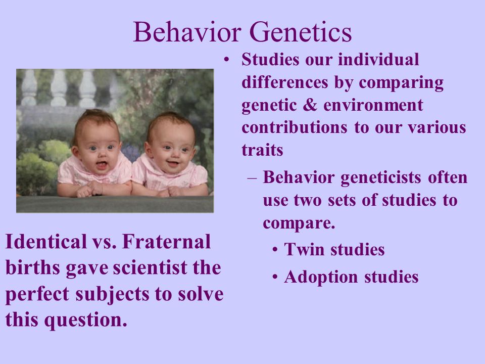 Behavior Genetics Studies our individual differences by comparing genetic & environment contributions to our various traits –Behavior geneticists often use two sets of studies to compare.