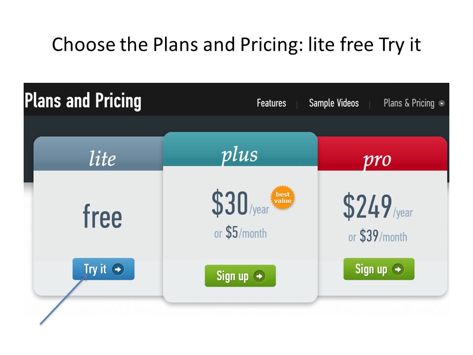 Choose the Plans and Pricing: lite free Try it