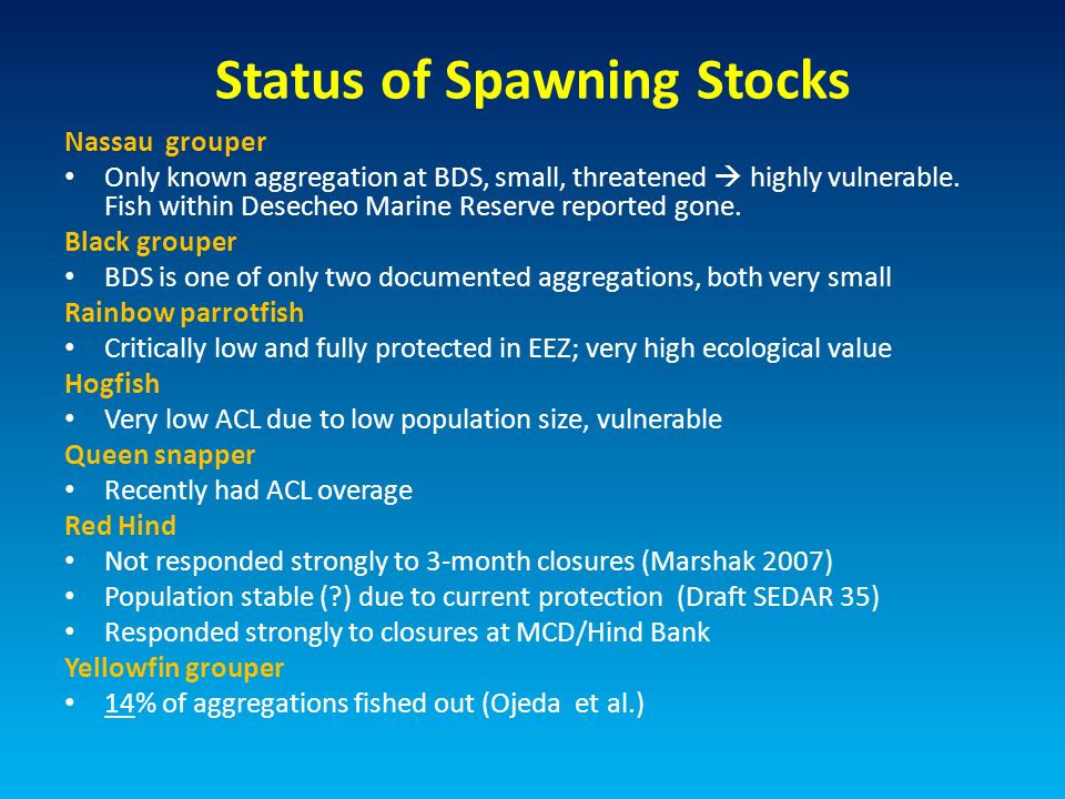 Status of Spawning Stocks Nassau grouper Only known aggregation at BDS, small, threatened  highly vulnerable.