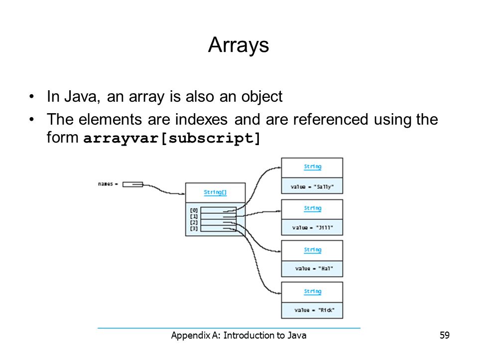 Appendix A: Introduction to Java59 Arrays In Java, an array is also an object The elements are indexes and are referenced using the form arrayvar[subscript]
