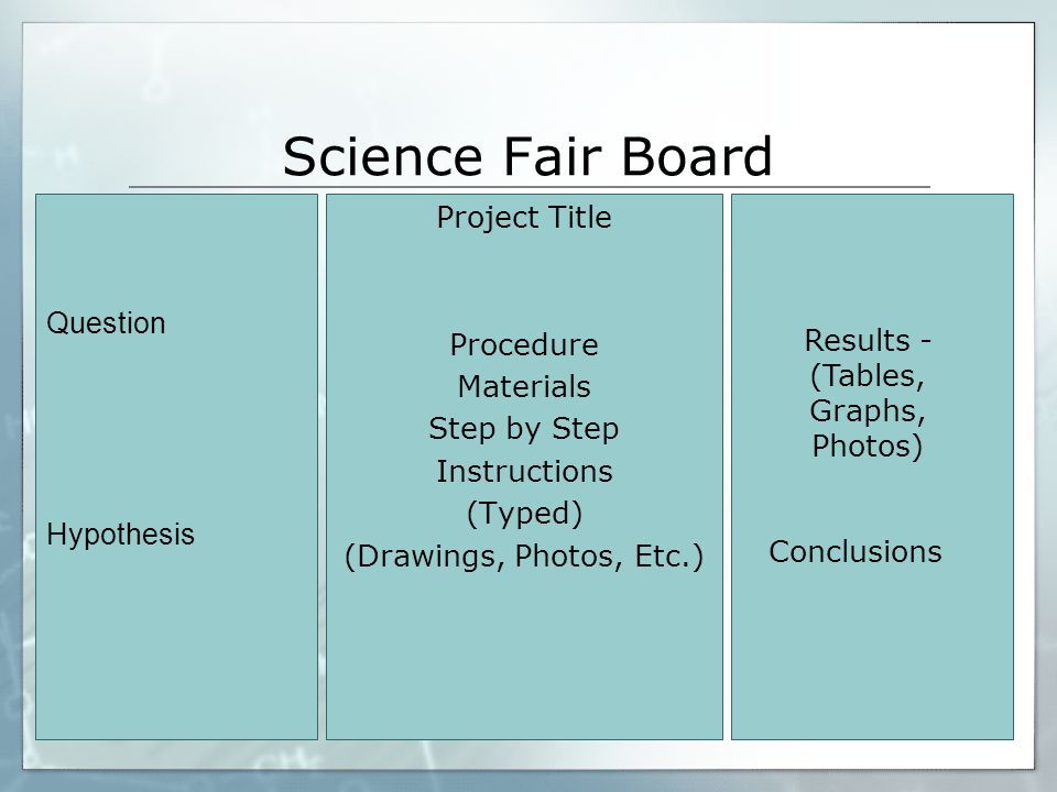 Science Fair Board Project Title Procedure Materials Step by Step Instructions (Typed) (Drawings, Photos, Etc.) Question Hypothesis Results - (Tables, Graphs, Photos) Conclusions