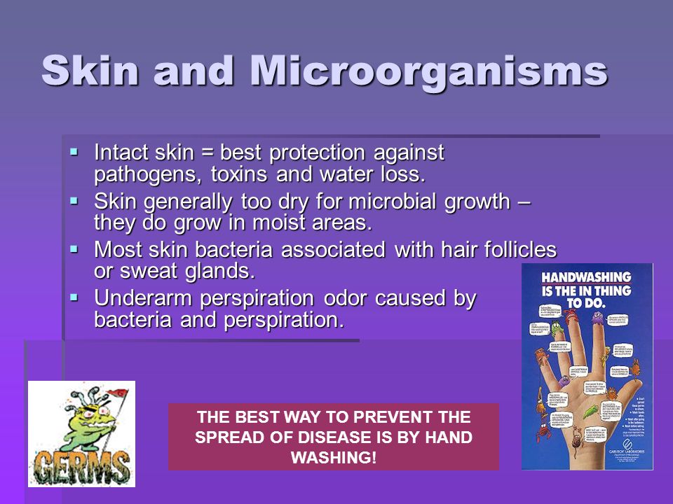 Skin and Microorganisms  Intact skin = best protection against pathogens, toxins and water loss.