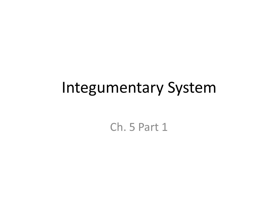 Integumentary System Ch. 5 Part 1