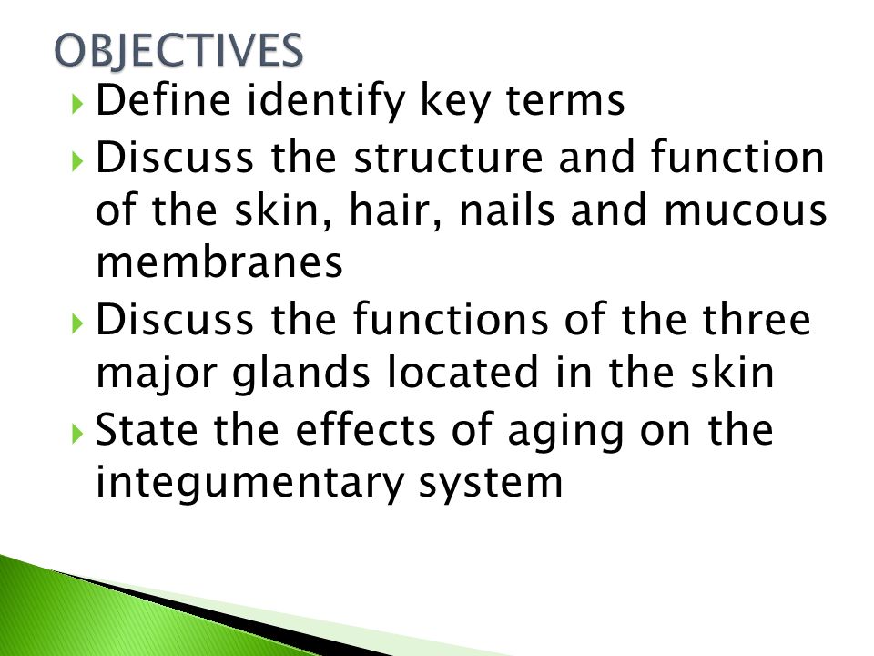Define Identify Key Terms Discuss The Structure And Function Of 2 Define