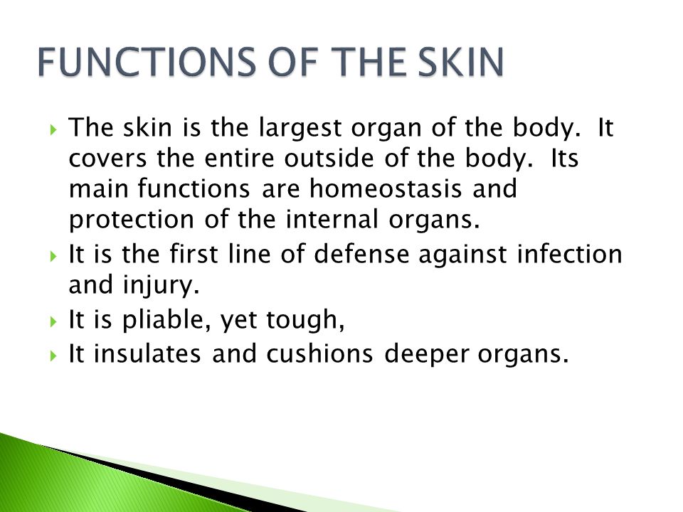 Define Identify Key Terms Discuss The Structure And Function Of 5