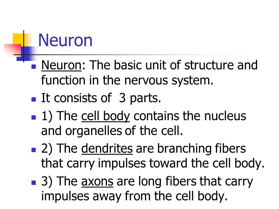 Neuron Neuron: The basic unit of structure and function in the nervous system.