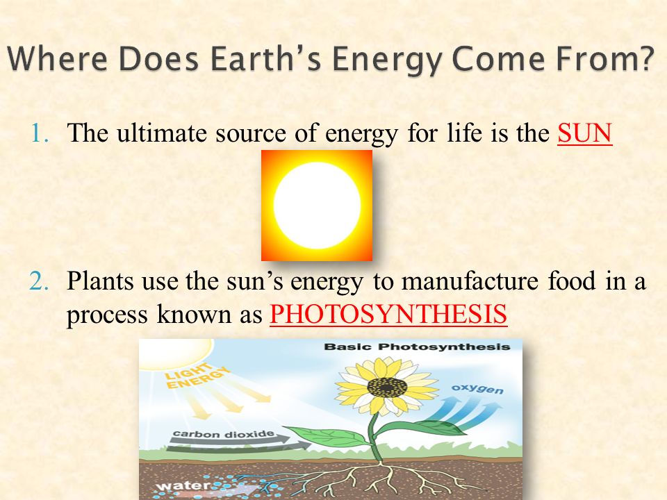1.The ultimate source of energy for life is the SUN 2.Plants use 