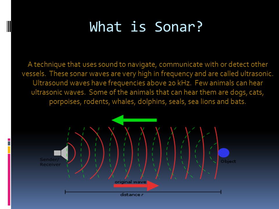 By: Lisa Runt. What is Sonar? A technique that uses sound to navigate,  communicate with or detect other vessels. These sonar waves are very high  in frequency. - ppt download