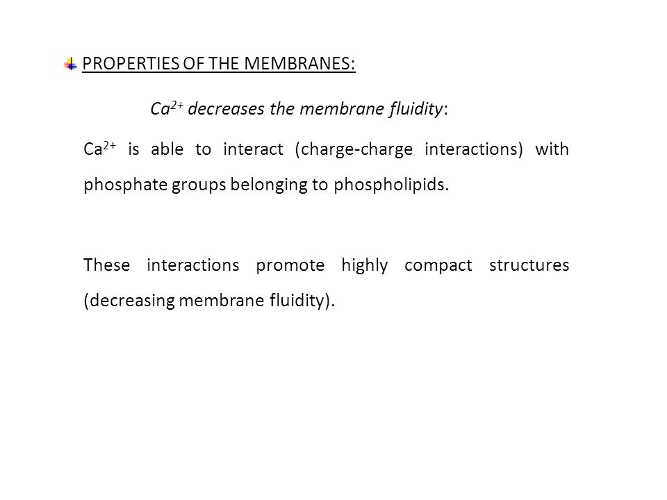 PROPERTIES OF THE MEMBRANES: Ca 2+ decreases the membrane fluidity: Ca 2+ is able to interact (charge-charge interactions) with phosphate groups belonging to phospholipids.