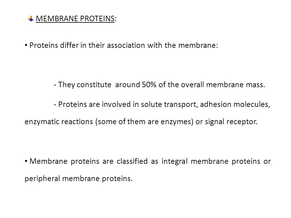 Proteins differ in their association with the membrane: - They constitute around 50% of the overall membrane mass.