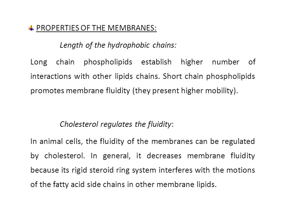 PROPERTIES OF THE MEMBRANES: Length of the hydrophobic chains: Long chain phospholipids establish higher number of interactions with other lipids chains.