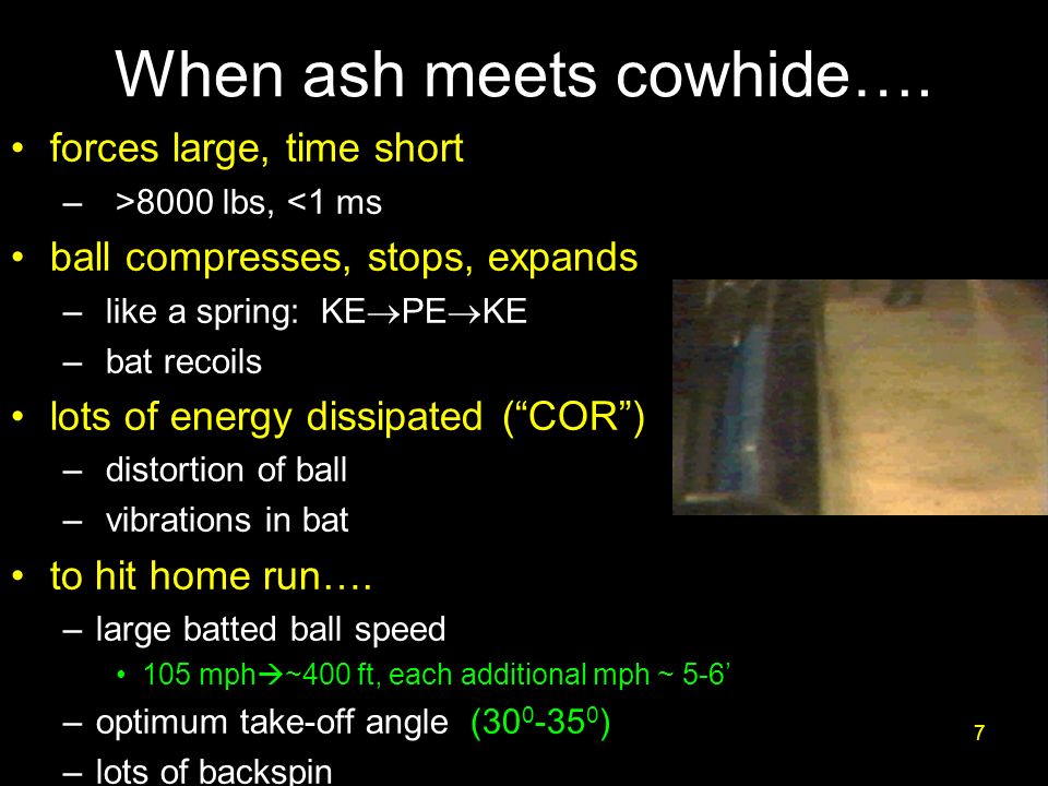 7 When ash meets cowhide….