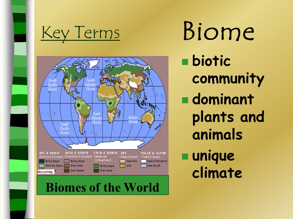 Climatograms That Define a Biome Temperature & Precipitation