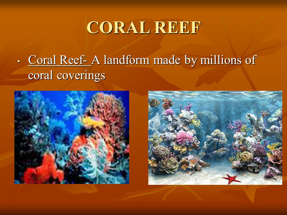 CORAL REEF Coral Reef- A landform made by millions of coral coverings Coral Reef- A landform made by millions of coral coverings